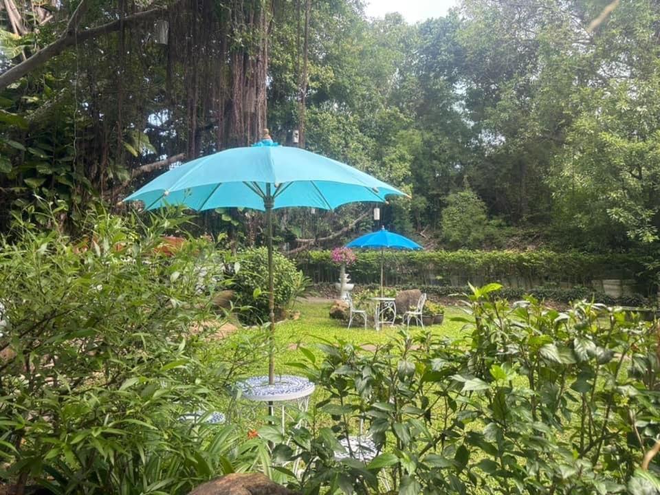 苏梅岛班扬豪斯住宿加早餐旅馆（仅限成人） 查汶海滩 外观 照片